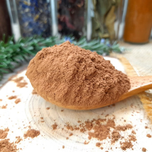 Poudre de cacao bio